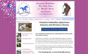 Website Designed By Raymond Howell At Home Call Computer Repairs, Lincolnshire, www.falabellas.co.uk